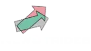 Newstrides- Study Abroad Consultants - Logo